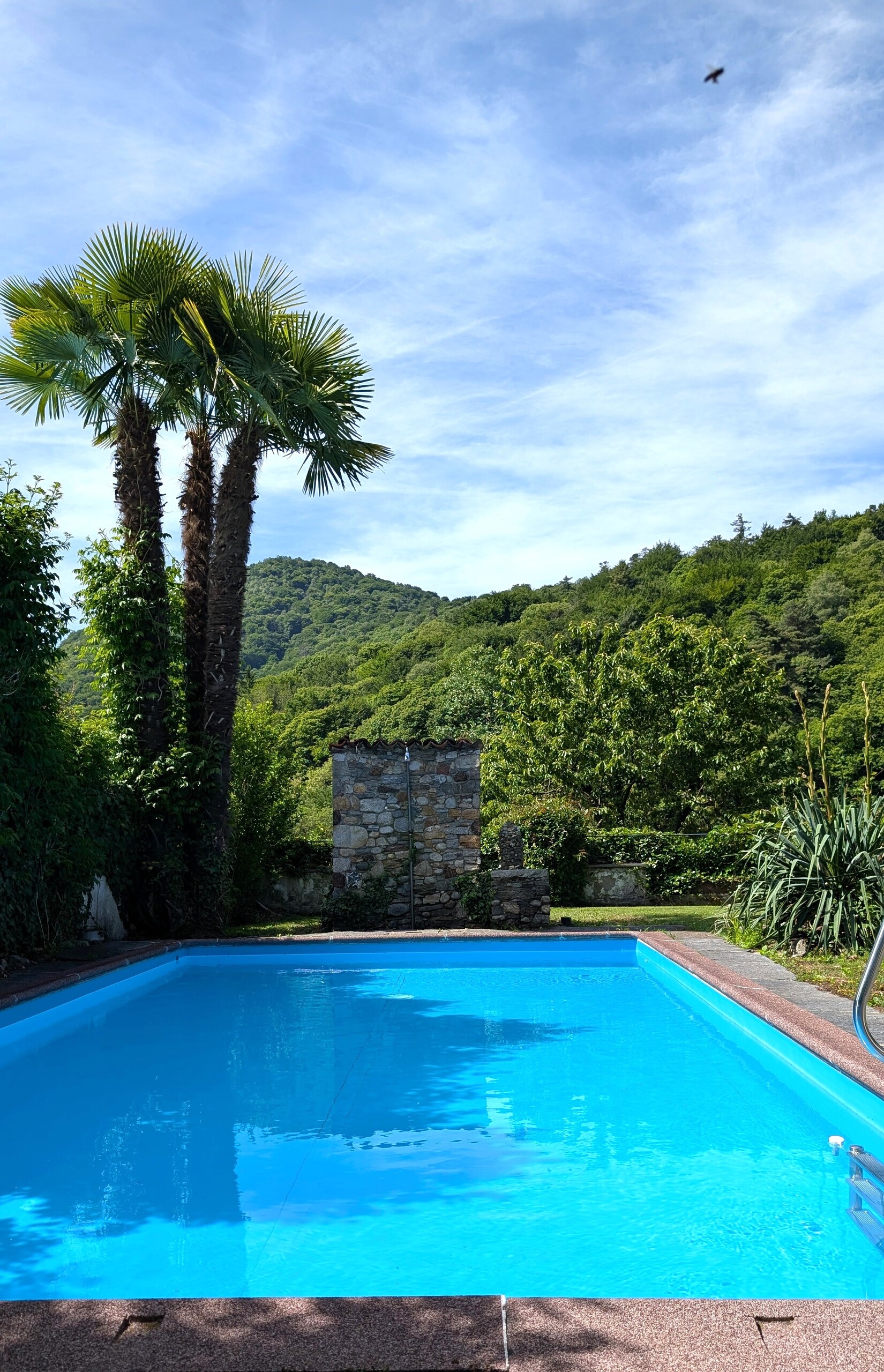 Pool & Garten – Casa Carolina